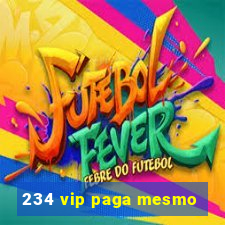 234 vip paga mesmo